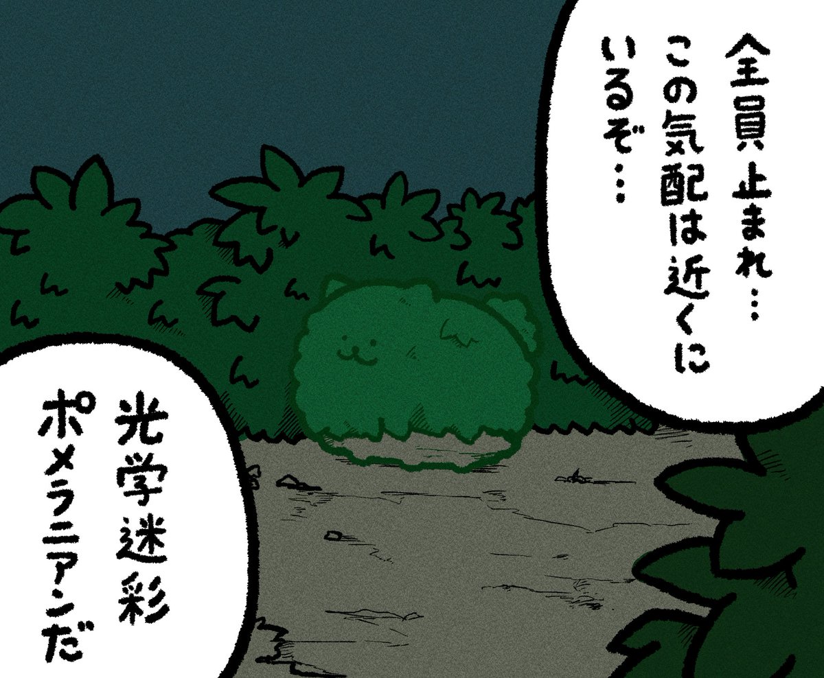 おはん (@shibaken_nu) on Twitter photo 