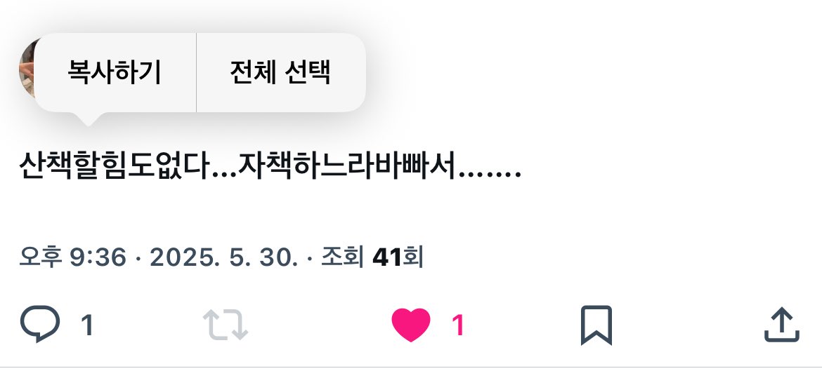 산책할힘도없다…