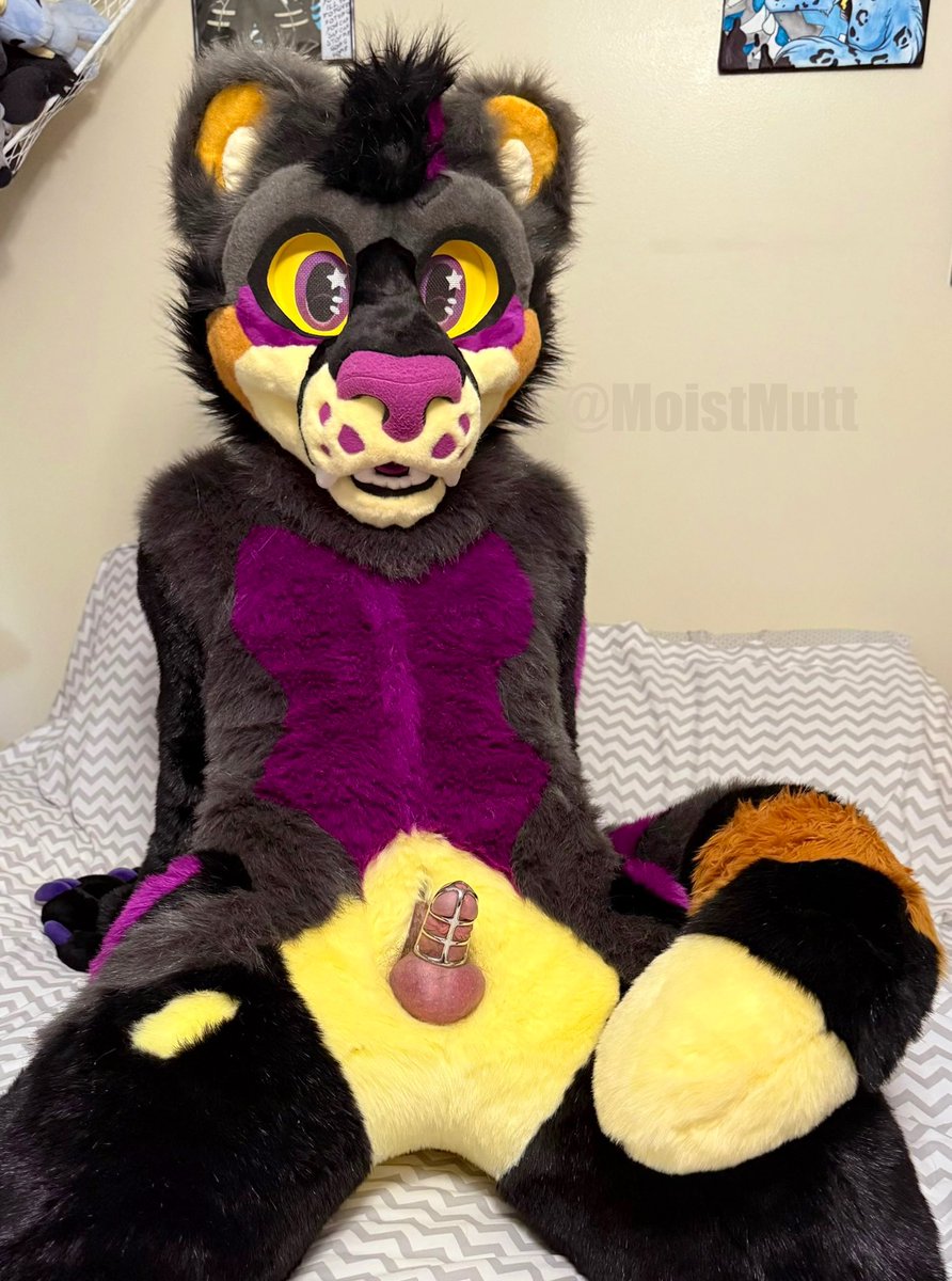 Wavey Shaguar tweet media