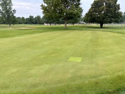 Hey everyone, here’s a great reason to try and win an amazing trip and experience a one-of-a-kind color change on your fairways, tees and greens. Curtis, owner of Molasses Kings, describes it as a “black” green - give it a try and let’s see what happens! #molasseskings #vereens