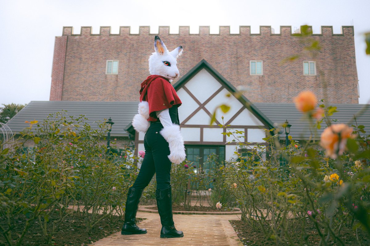 Look back

📸<a href="/goat83262/">Yangi🔜UTFG</a>
#FursuitFriday