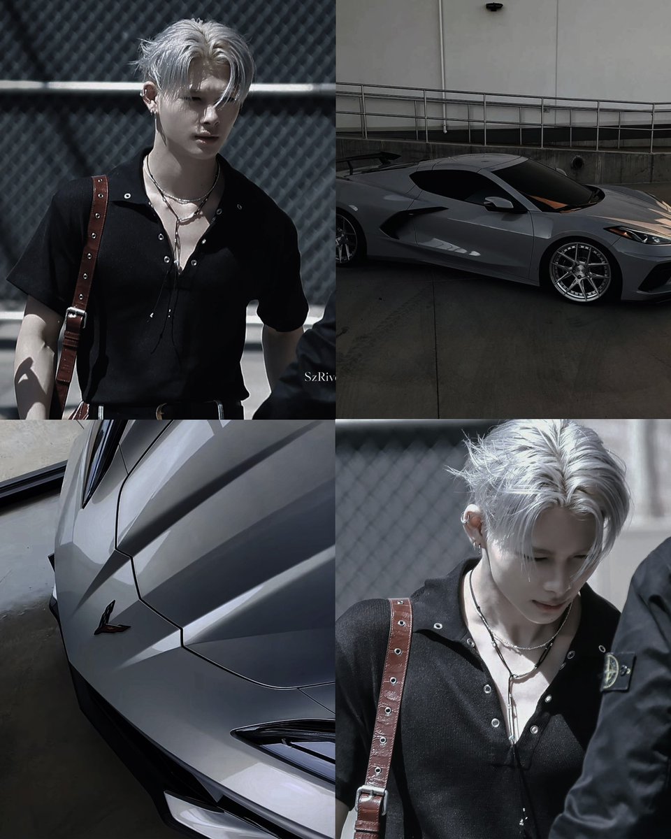 Noah Riku Kyo — 20 drives: silver chevrolet corvette c8 stingray “that ...