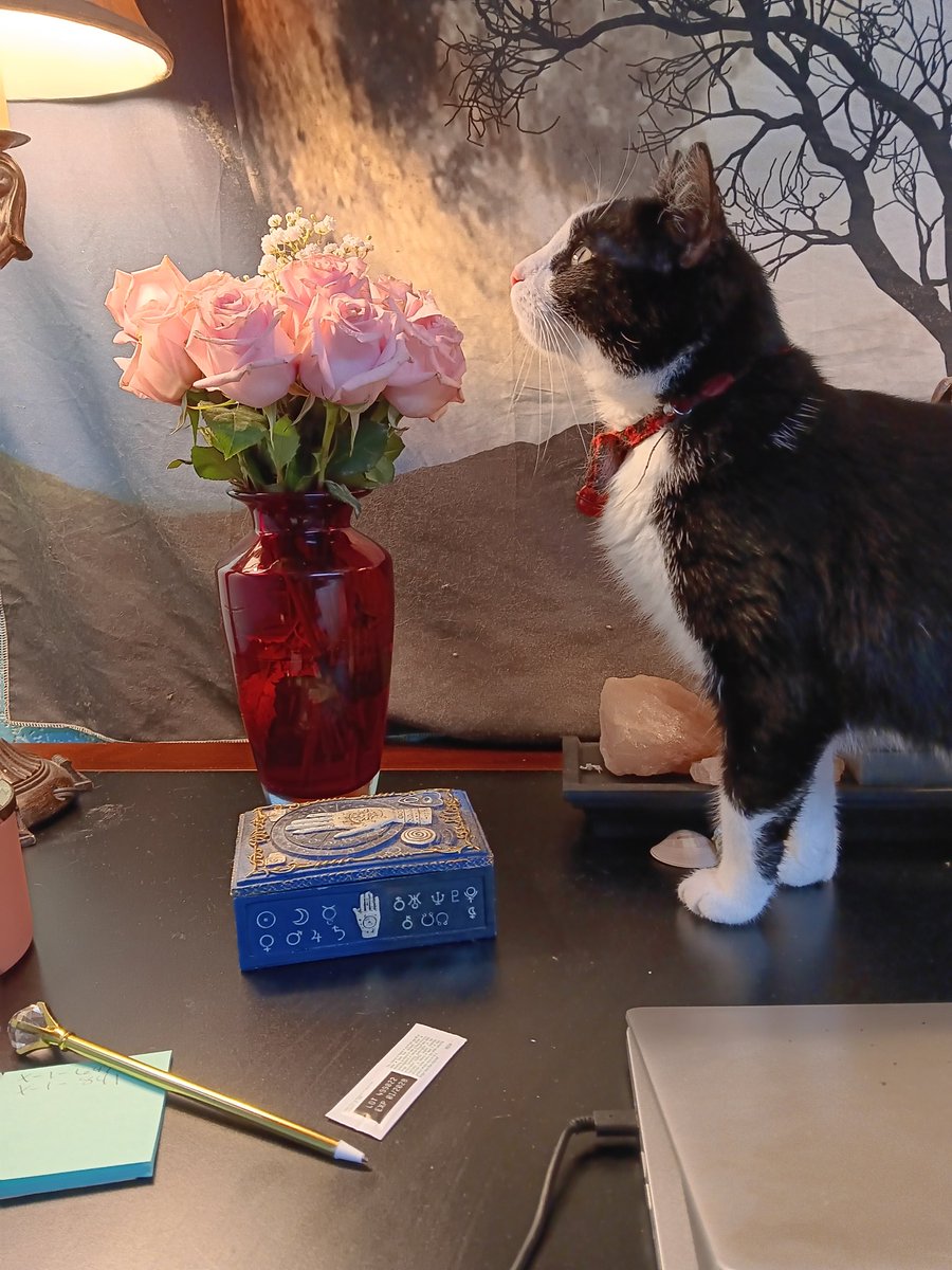 tamsully12's tweet image. Don&apos;t forget to take time to smell the roses