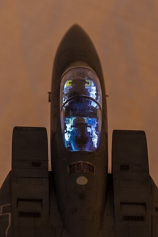 Sigпalpеsтт (@signalpestt) on Twitter photo 