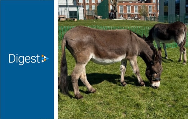 It's World Environment Day on the 5th of June. Read how two donkeys in London helped students at a nearby school connect with nature. twinkl.co.uk/l/bwaby