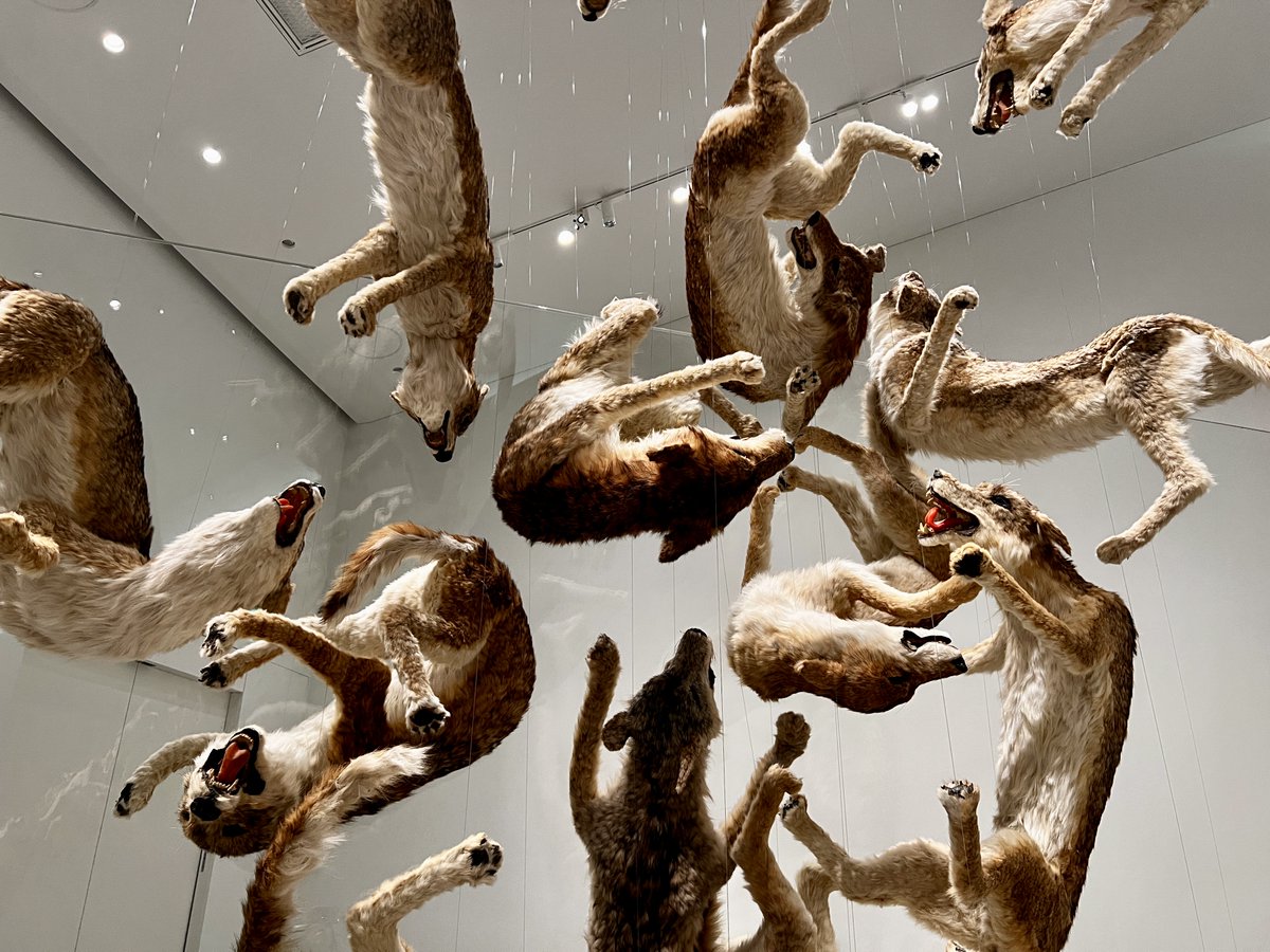 【直島に新たな必見スポットが誕生！】
直島新美術館 開館レポ🚶‍♀️
集落に佇む安藤忠雄建築でアート作品を楽しむ。行き方・アクセスも
tokyoartbeat.com/articles/-/nao…

瀬戸内国際芸術祭の舞台としても知られる香川県の直島にオープン。村上隆や会⽥誠、蔡國強、ソ・ドホらの作品を展示する本館の見どころは？