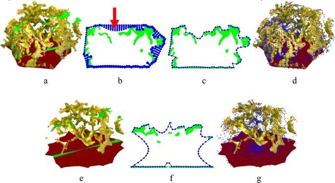 A method for phenotyping lettuce volume and structure from 3D images 

plantmethods.biomedcentral.com/articles/10.11… 
♻️