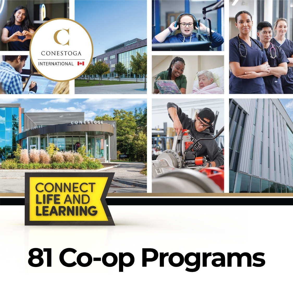 Conestoga_Inter's tweet photo. ๐ผ Did you know Conestoga has 81 co-op programs for international students? Gain real-world experience, earn while you learn, and build your future. ๐ช
๐ข Apply for Fall 2025 today!
#StudyInCanada #CoopPrograms #ConestogaCollege #Fall2025Intake https://t.co/cJt7v1oWZ4