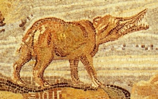 A strange animal seen on the Roman mosaic of Palestrina known as the Xiphis. Theories on what it is range from a bad elephant depiction, to a warthog, to a new species of carnivorous buffalo, to a living entelodont.