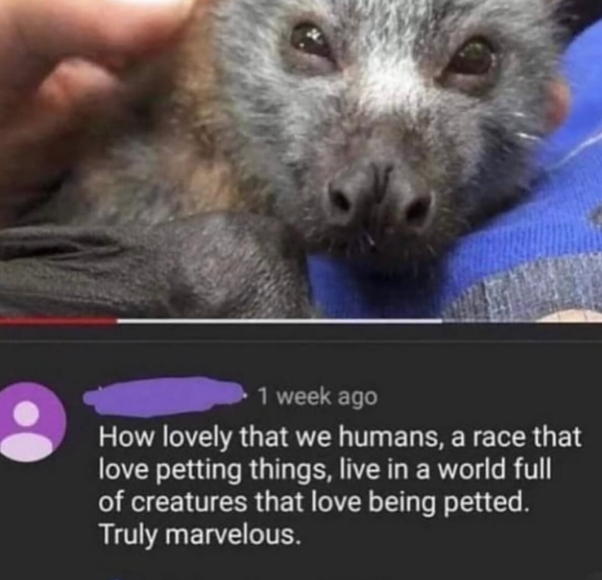 RespectfulMemes's tweet photo. https://t.co/2dCMH6FUJv
