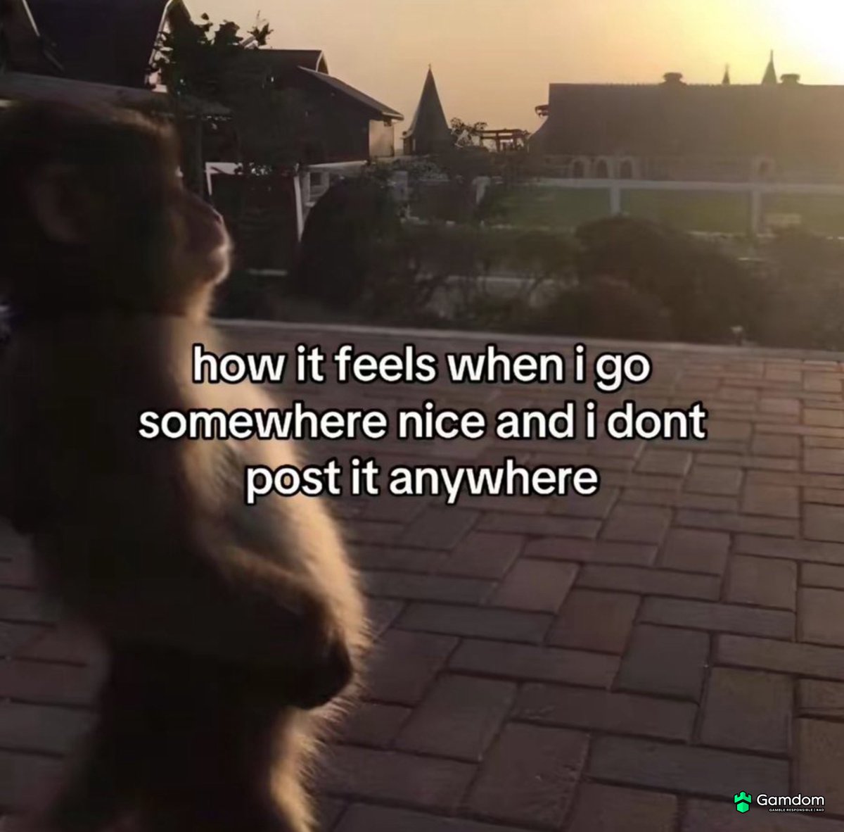 Whotfismick's tweet photo. https://t.co/HTRHvMoWgu