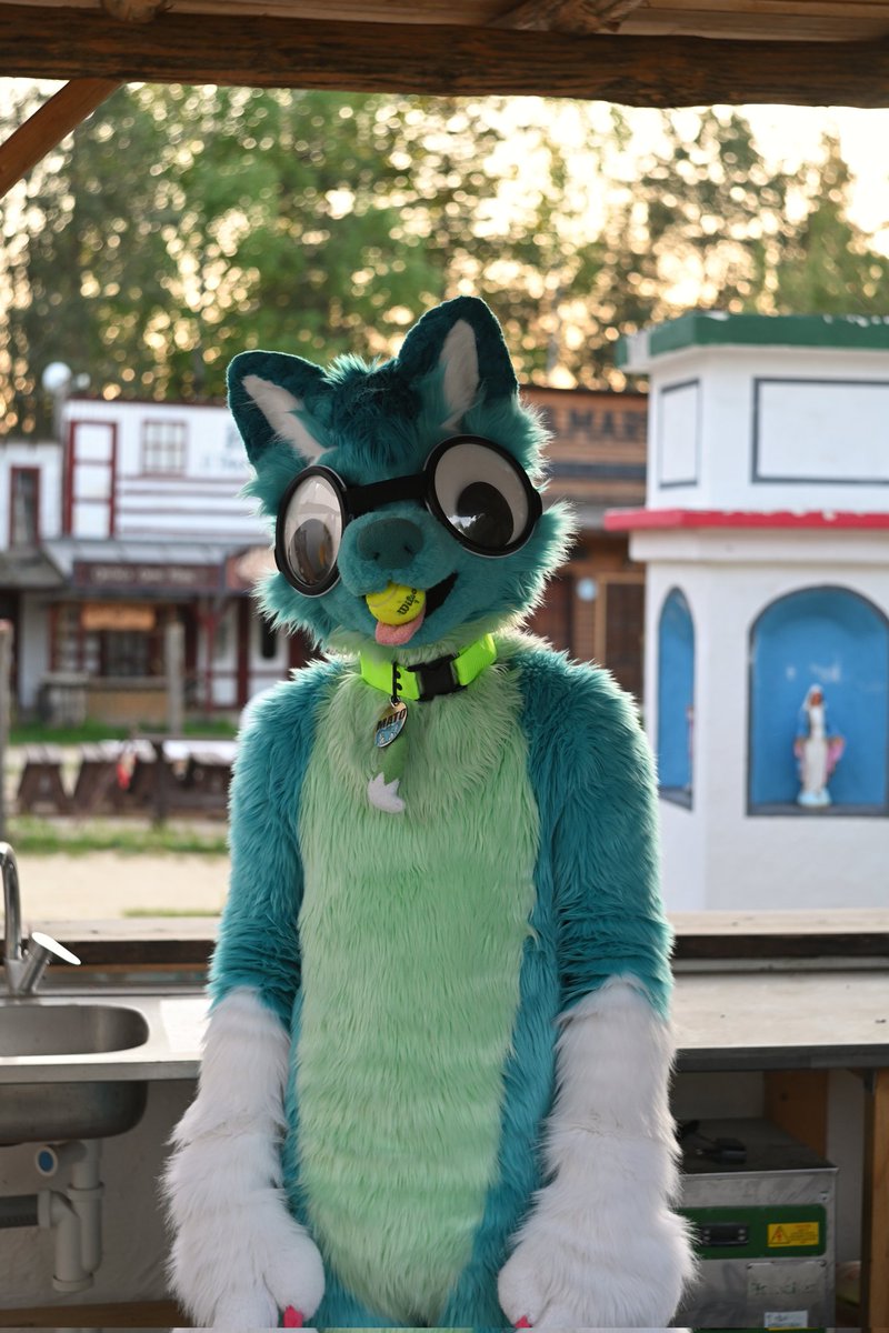 mato_husky (@mato_husky) on Twitter photo ๐๐ Look at this silly husky ๐๐๐ซฃ ๐๐
๐ท <a href="/littlepawsnep/">Snepรญk Littlepaw โก๏ธ ฤesfur</a> ๐ฅฐ
๐งต <a href="/Bambilijas/">Bambilijas</a> + <a href="/RokajTheHusky/">Rokaj</a> ๐ฅฐ
#happyfursuitfriday
#fursuitfriday
#furry #furrsuit #fursuiter #furryfandom #furries #furryhusky ๐๐ Look at this silly husky ๐๐๐ซฃ ๐๐
๐ท <a href="/littlepawsnep/">Snepรญk Littlepaw โก๏ธ ฤesfur</a> ๐ฅฐ
๐งต <a href="/Bambilijas/">Bambilijas</a> + <a href="/RokajTheHusky/">Rokaj</a> ๐ฅฐ
#happyfursuitfriday
#fursuitfriday
#furry #furrsuit #fursuiter #furryfandom #furries #furryhusky