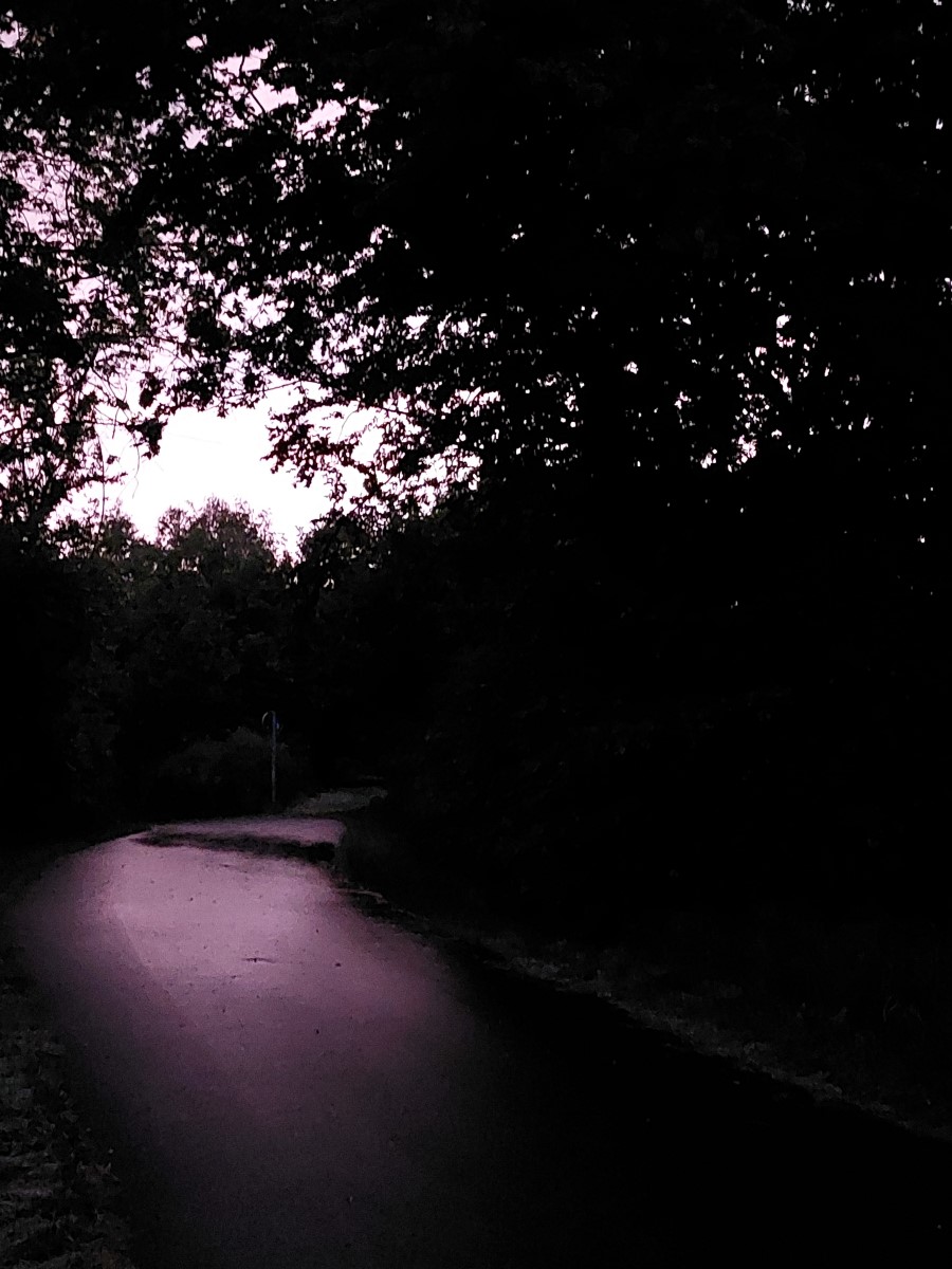 Dirk Schulte
Ins Ungewisse
2025