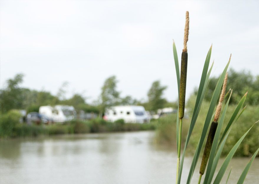 🎣🌿 Withy Water Fishing Lake, Camping and Caravan Site is a peaceful, adults-only haven in Somerset. This charming site boasts a well-stocked coarse fishing lake, alongside scenic grass and hardstanding pitches. 

camping-directory.uk/3869 

#Somerset #Camping #AdultsOnlyCampsite