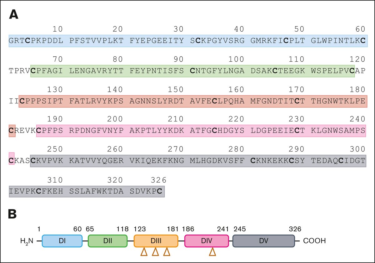 Antiphospholipid syndrome is a systemic autoimmune disorder characterized by recurrent thromboembolic events and pregnancy morbidity in patients with antiphospholipid antibodies. ow.ly/NSZk50VZnqw #basicandtranslational