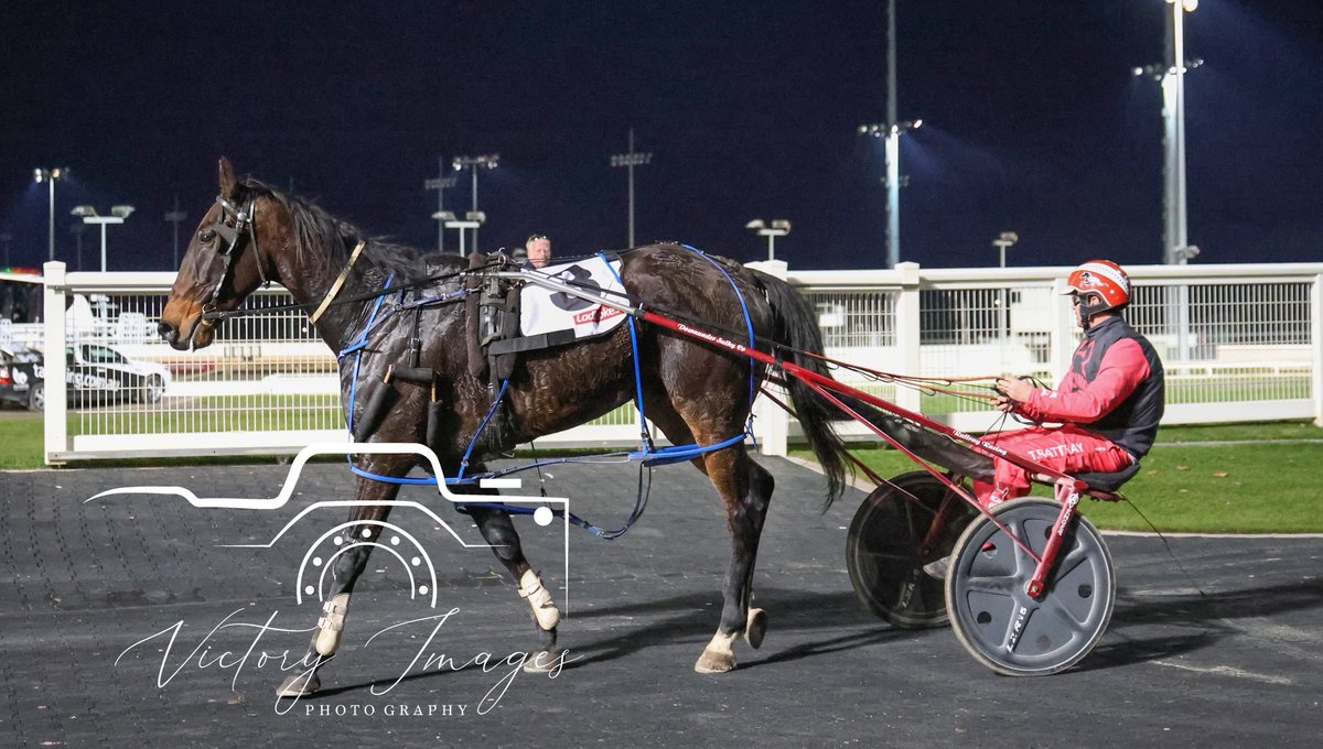 Race 1 - LADBROKES PUNTER ASSIST STAKES

JAY MILLER / Todd Rattray &amp; Steve Lukac