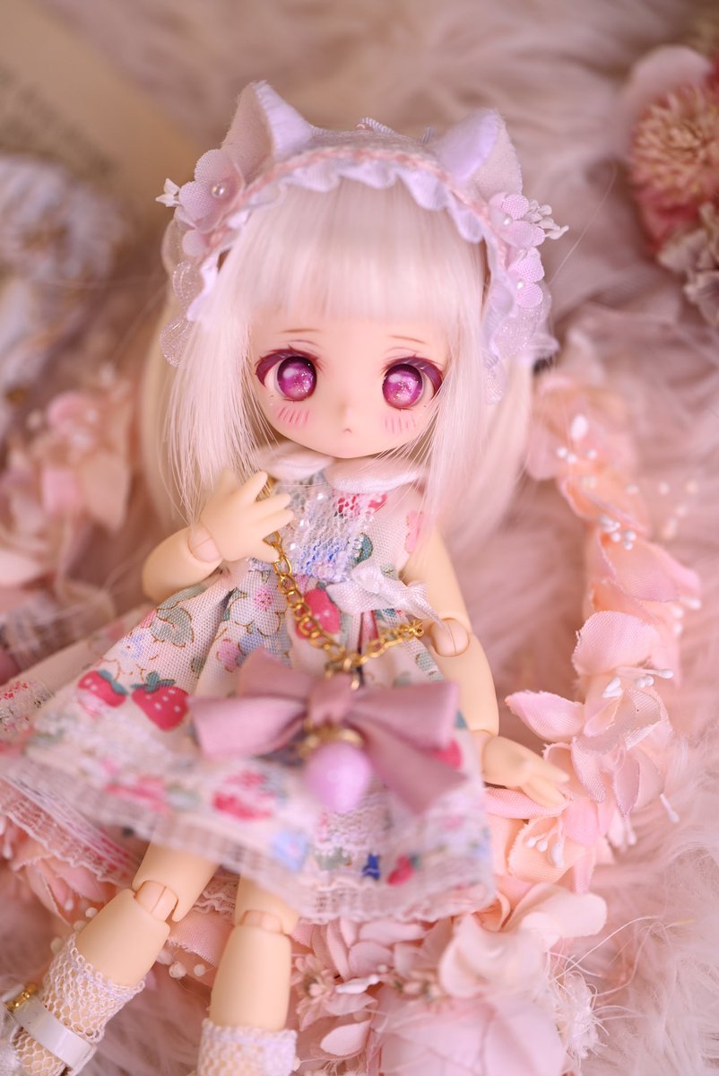 🐈🍓.*·̩͙

auctions.yahoo.co.jp/jp/auction/e11…