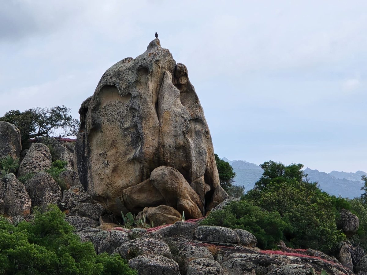 Gonnie van Alphen tweet media