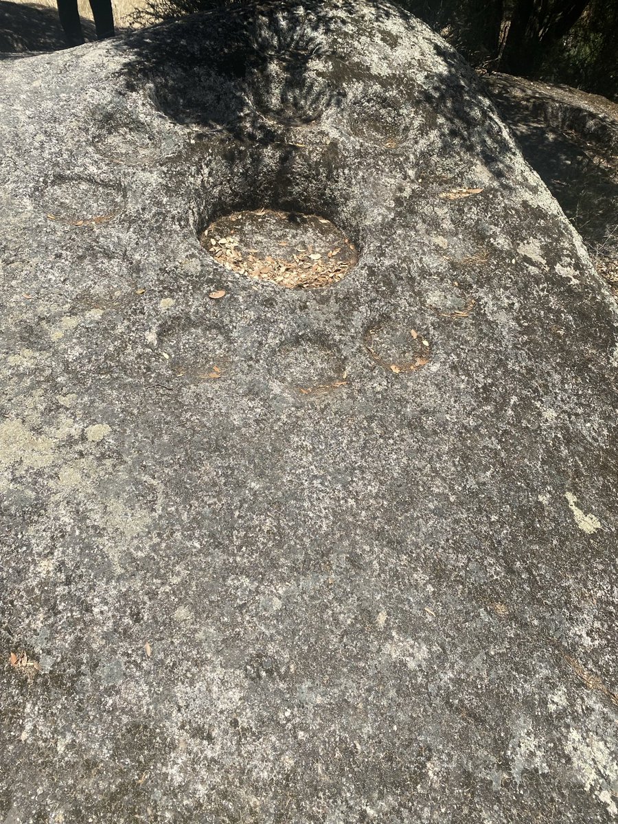 Gonnie van Alphen tweet media