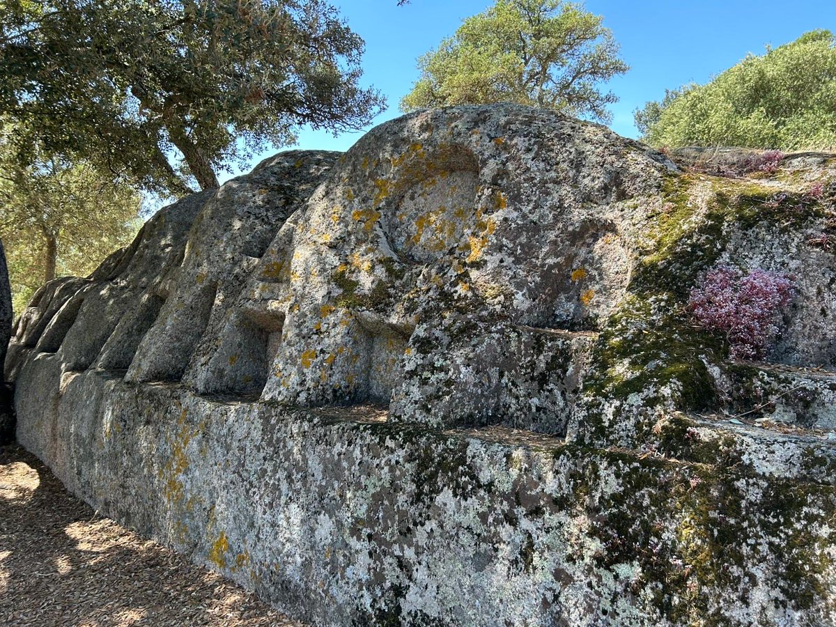 Gonnie van Alphen tweet media