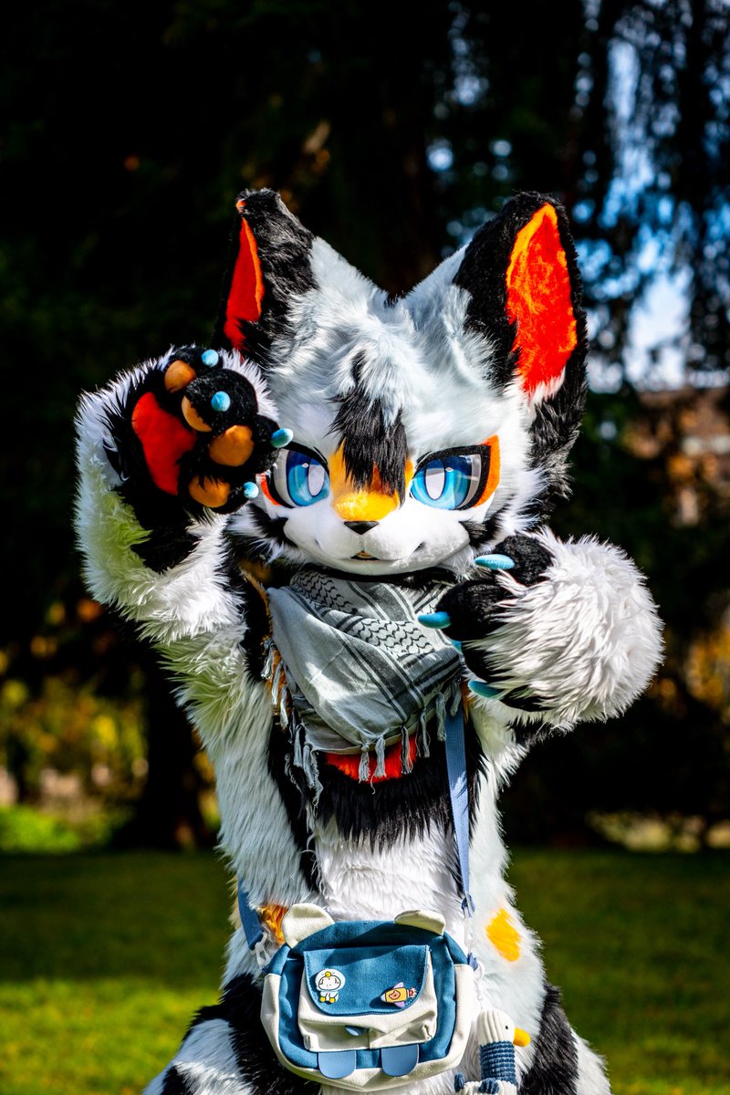 #FursuitFriday 
就让阳光落下，让我定格这个世界
📷：<a href="/Jasonhisto54563/">Jasonhistoria</a>