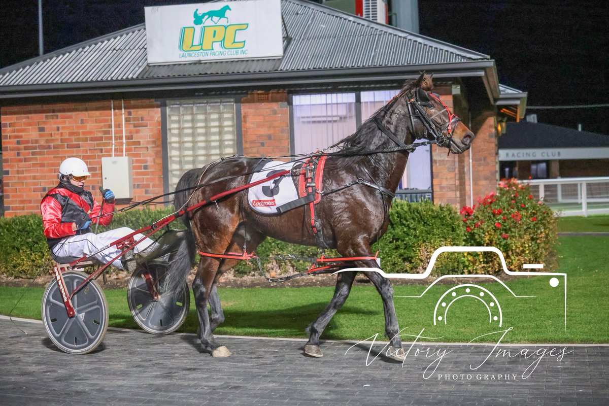 Race 6 - BEVAN LEES BUTCHERY PACE 

KARALTA ARTEMIS / John Walters &amp; Kent Rattray