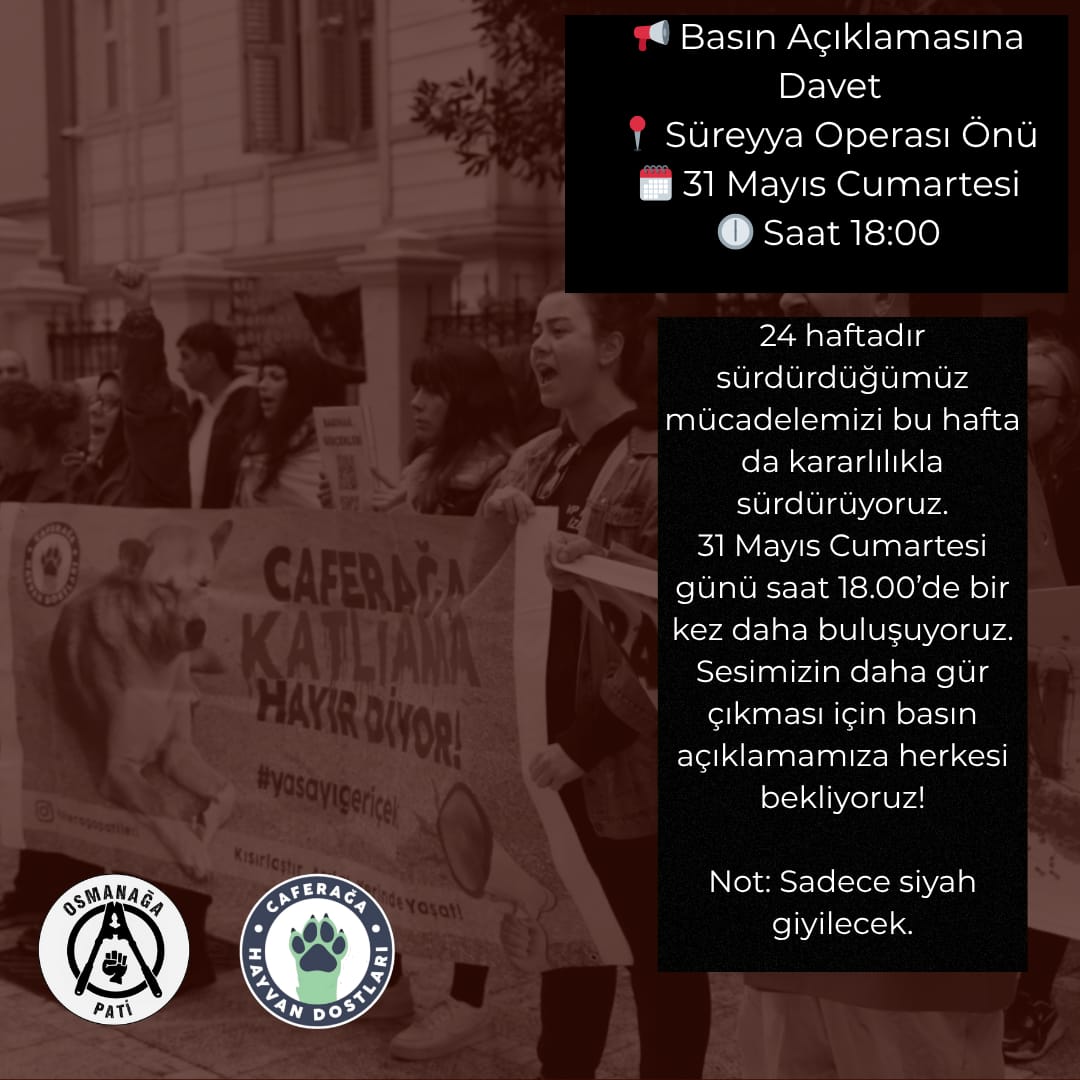 📢 Basın Açıklamasına Davet
📍 Süreyya Operası Önü
🗓 31 Mayıs Cumartesi
🕕 Saat 18:00
24 haftadır sürdürdüğümüz mücadelemizi bu hafta da kararlılıkla sürdürüyoruz.
31 Mayıs Cumartesi saat 18.00’de 
Sesimizin daha gür çıkması için basın açıklamamıza herkesi bekliyoruz!