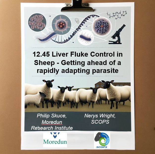 neryswright's tweet image. ❓Attending @natsheep North Sheep next week?
🗣️ not bored of me talking about parasites yet……
🪱 come along to Wednesday’s seminar
12.45 Getting ahead of a rapidly adapting parasite - liver fluke
Join SCOPS and @philip_skuce from @MoredunComms for this timely discussion