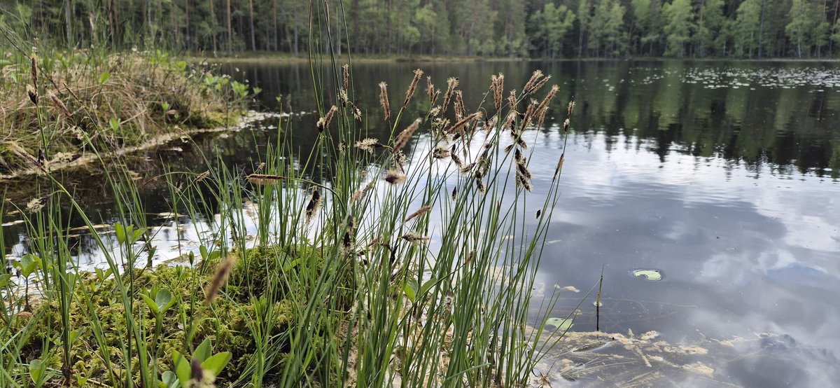 Ei sen tartte olla niin ihmeellistä.