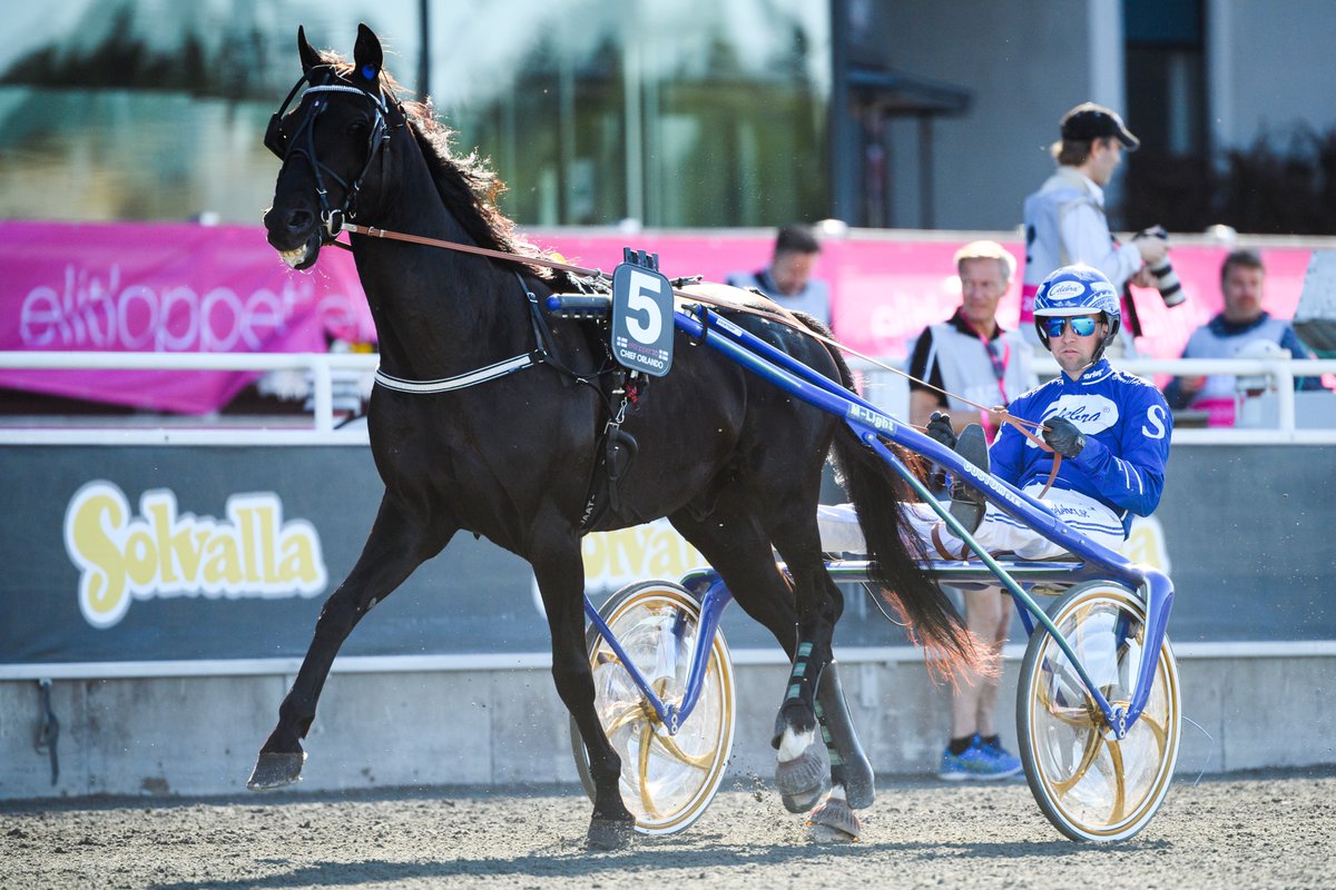 Kul V75:a från Mantorp stundar. Fartfyllde 10 D'Apper tycker vi är förstahäst i V75-5 med Rikard Skoglund (bilden). Tipsen köper du på: travtjansten.se