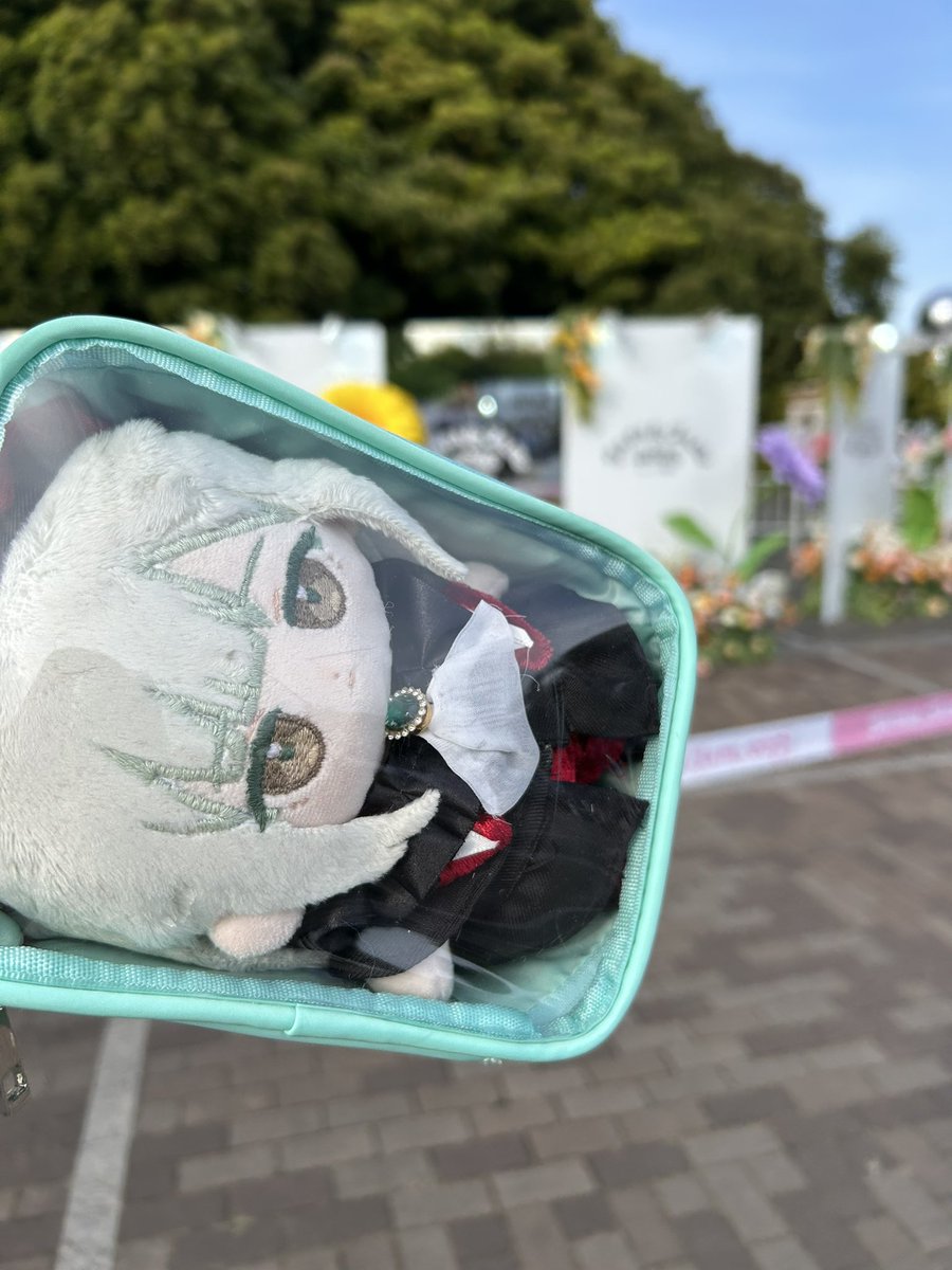 TB0br's tweet photo. 最近ぬいにハマりました🧸 販売に申し込みできる公開アカウントがこれしかなくて、久しぶりの投稿をします… 長らく動かしてなかったので、不安にさせてしまっていたら申し訳ないです。素敵な販売にぜひ参加させていただきたい一心で…よろしくお願いします🙇‍♀️✨ https://t.co/qb3GT71gme