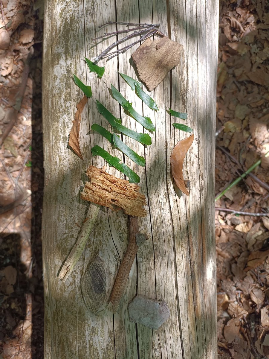 Henrik Leafson ⚽🍂