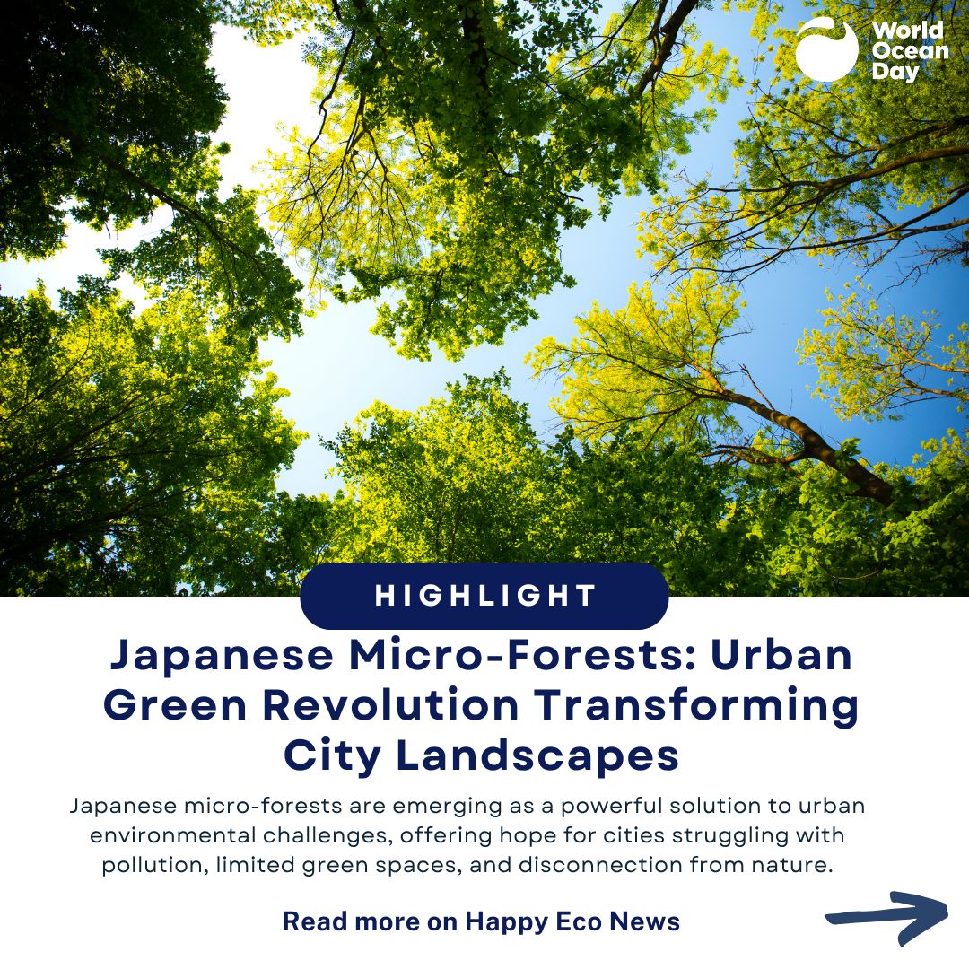 You know what day it is! Time for some #happyheadlines featuring a dedicated eco warrior @Teddy.tubs .