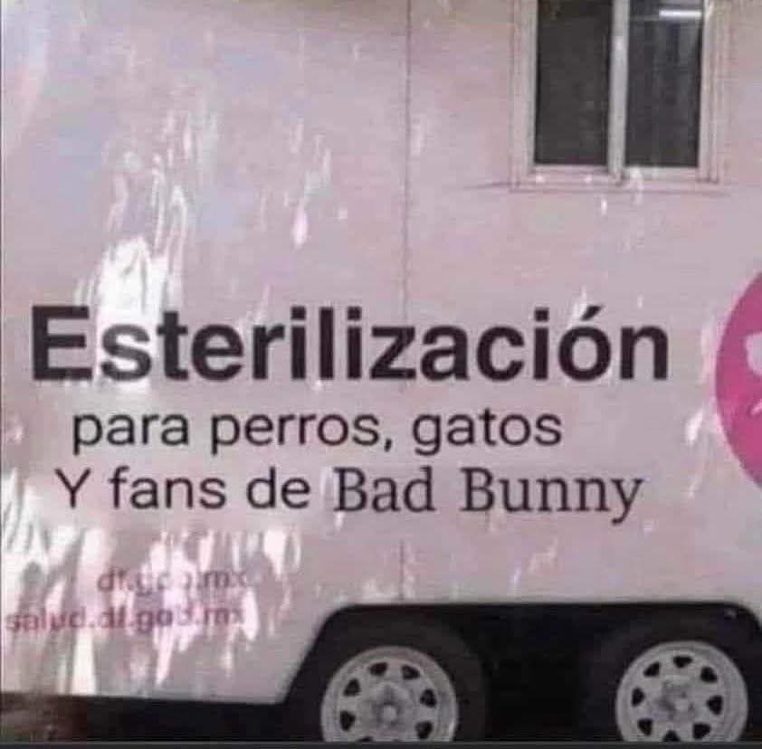 ToroSentado tweet media