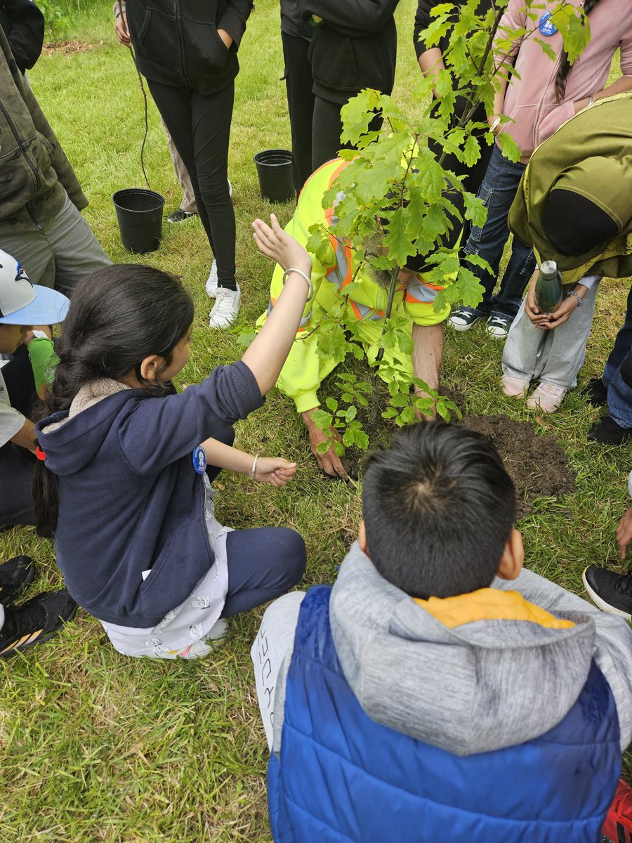Dilpreet Kaur (@dilpreet_kk) on Twitter photo Grade 4s partnered with the City of Brampton to plant trees and learn about stormwater, soil, and caring for the environment. A meaningful and fun day outdoors! π³π #EcoEducation <a href="/PeelSchools/">Peel District School Board</a> <a href="/EcoSchoolsCAN/">EcoSchools Canada</a> <a href="/RedWillowPS/">Red Willow PS</a> <a href="/ZohrinM/">Zohrin Mawji</a> <a href="/CityBrampton/">City of Brampton</a> Grade 4s partnered with the City of Brampton to plant trees and learn about stormwater, soil, and caring for the environment. A meaningful and fun day outdoors! π³π #EcoEducation <a href="/PeelSchools/">Peel District School Board</a> <a href="/EcoSchoolsCAN/">EcoSchools Canada</a> <a href="/RedWillowPS/">Red Willow PS</a> <a href="/ZohrinM/">Zohrin Mawji</a> <a href="/CityBrampton/">City of Brampton</a>