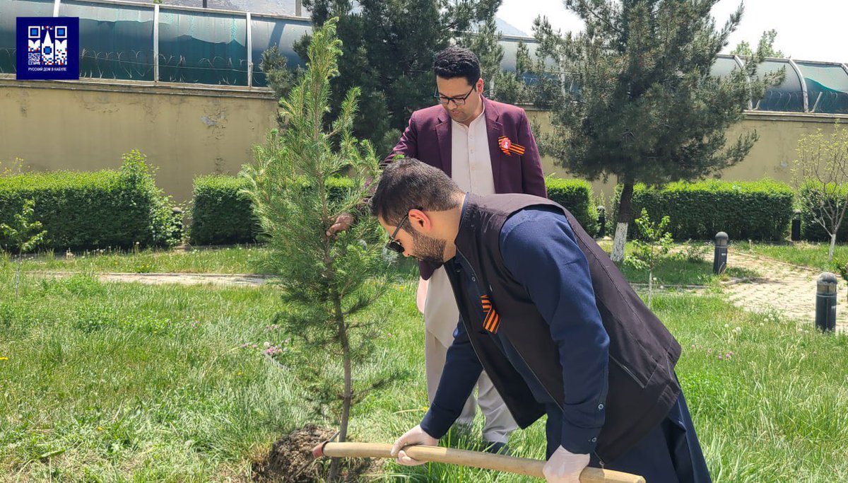 rsgov's tweet photo. Memorial gardens take root across 20+ countries through Russian House initiative: https://t.co/iVxPU6J8pz

#Russia #GardenOfMemory #Victory80 https://t.co/uMzrYhUHso