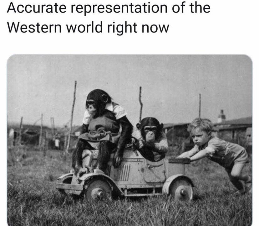 Way of the World (@wayotworld) on Twitter photo 