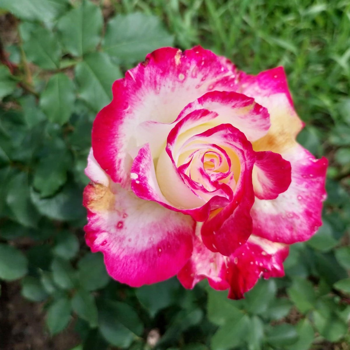 Good morning and happy Saturday! ☀️✈️

In just a few hours, we’ll be off to Egypt for our vacation. Can’t wait to explore ancient wonders, soak up the sun, and dive into some unforgettable adventures. 🐪🌴📸

Stay tuned for pyramid pics and travel moments!