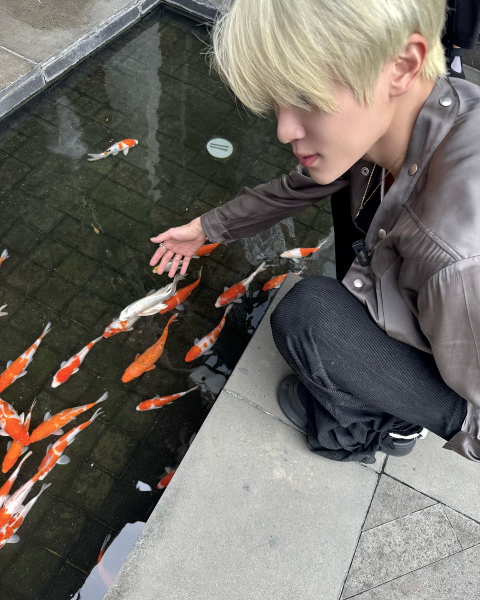 NCT WISH tweet media
