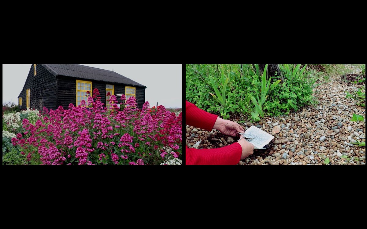 Kang Seung Lee's Garden (2018) is currently on show at Beaconsfield in Manifesto for Sustainable Experimention. 
Garden centers on Derek Jarman (1942-1994) and Joon-soo Oh (1964-1998), both gay rights activists in England and Korea respectively, who died from AIDS complications.