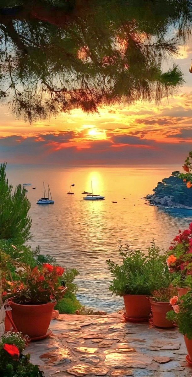 Good afternoon all X family