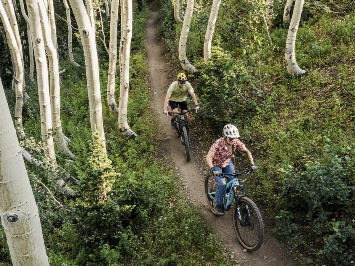 Ready to plan your next mountain bike trip in the Wasatch? Use our guide for an unforgettable adventure! bit.ly/4daSdcL