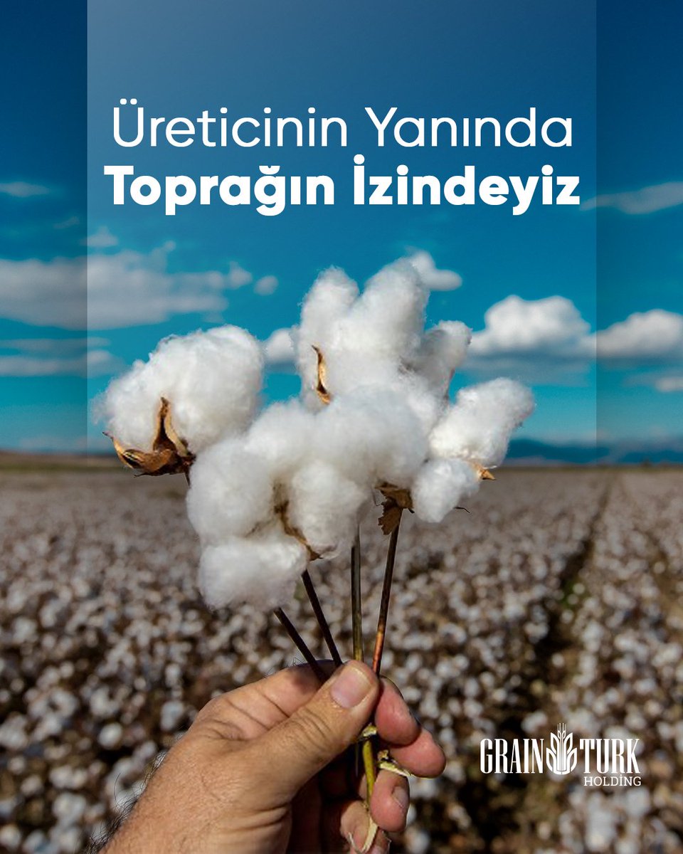 Beyazın en saf halini toprağın bereketinden alıyoruz. Üreticimizin yanında, toprağın izinde, her lifine emek sinmiş pamukla geleceği dokuyoruz. 🌱🤍

#Pamuk #Toprağınİzinde #ÜreticininYanında #EmekleBüyüyoruz