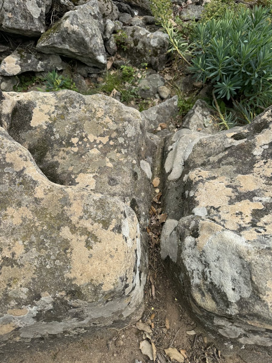 hayleyaramsey's tweet image. The Mysterious Megalithic Sacrificial Table of Saint-Michel de Grandmont 🇫🇷
Hidden in the hills near the Priory of Saint-Michel de Grandmont lies a powerful remnant of the ancient world: a megalithic “sacrificial” table, carved directly into the bedrock and estimated to be over…