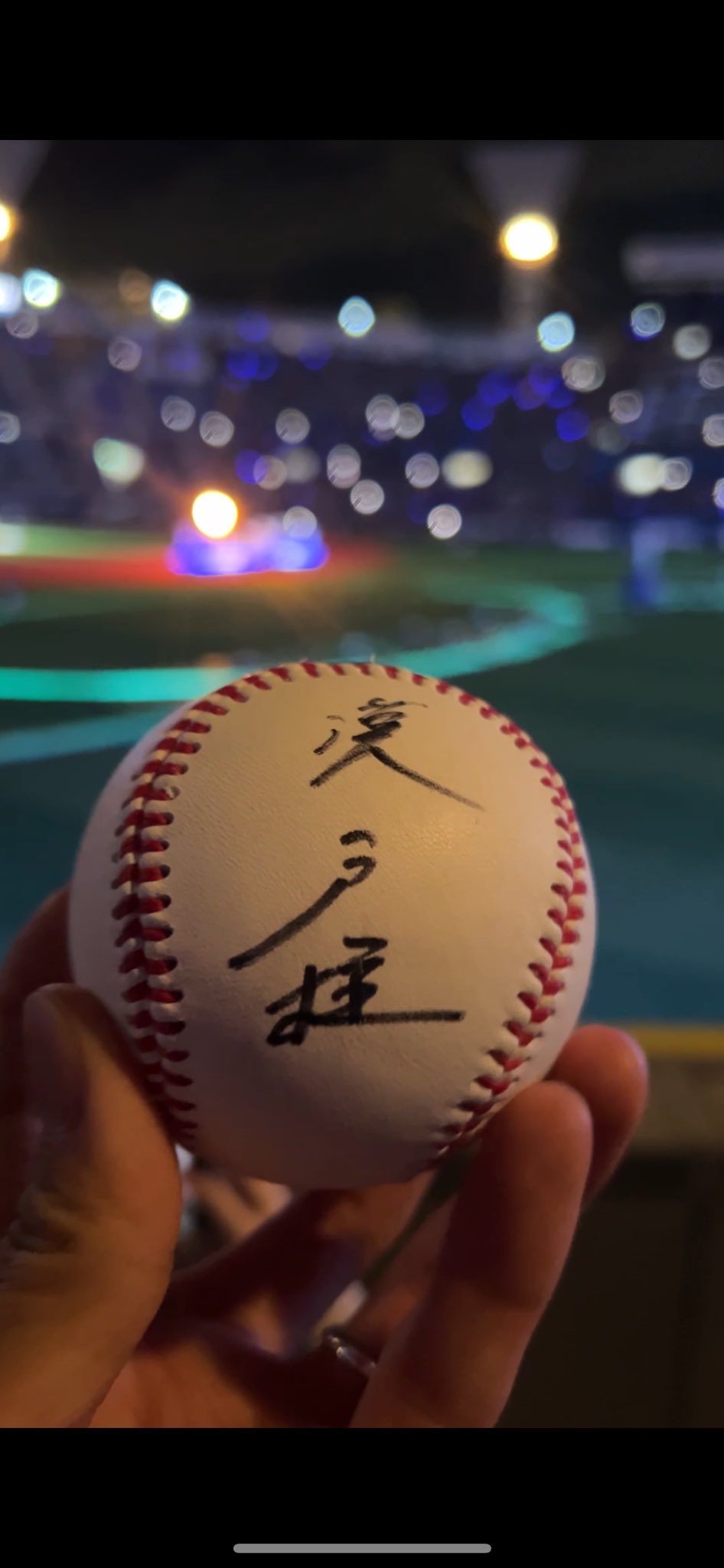 ナナオ サインボール ミドルサインボール(ホワイト)/刺繍込み – ボール