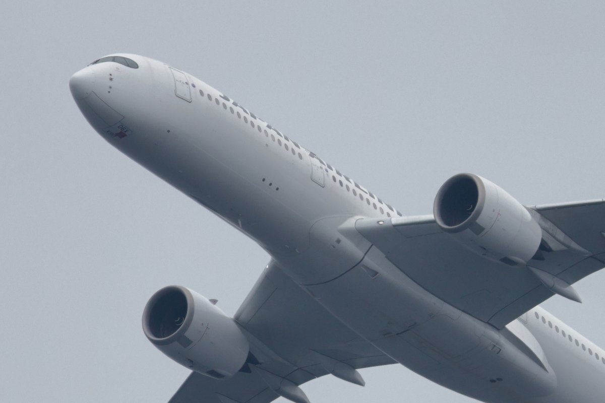 Pond@写真📷️ tweet media