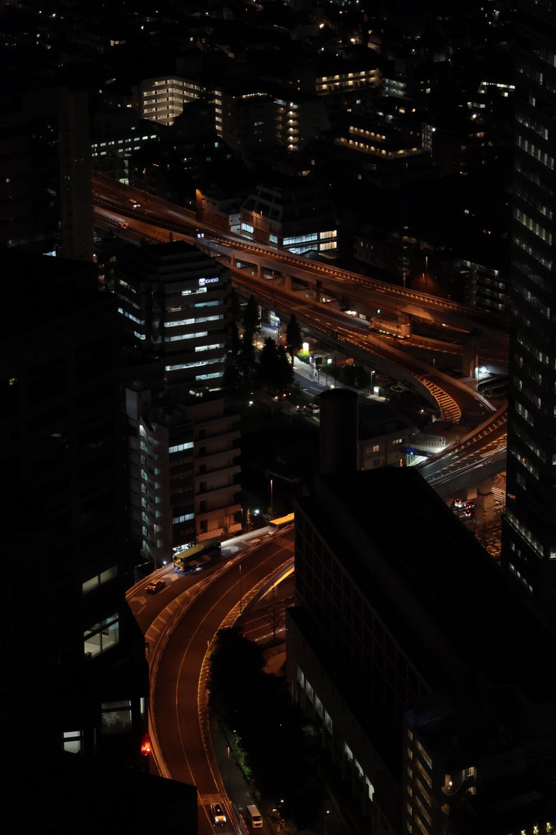 Pond@写真📷️ tweet media