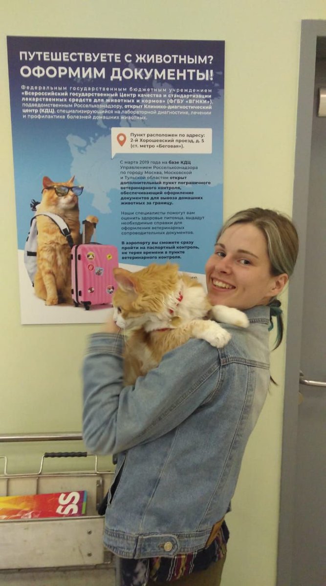 О прикол, а я переезжала 6 лет назад и джинсовку эту таскаю по сей день (а момент переезда ей уже было лет пять). А у вас жива одежда, в которой вы переезжали?