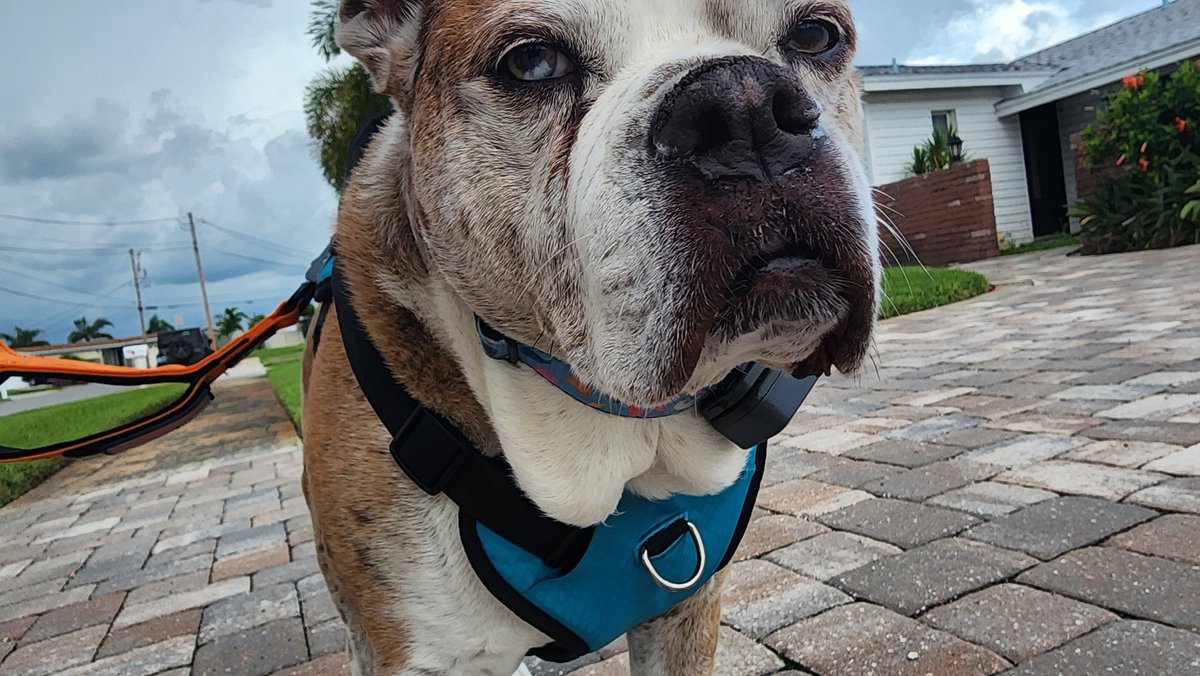 Just letting you know she's judging all of you 🤣