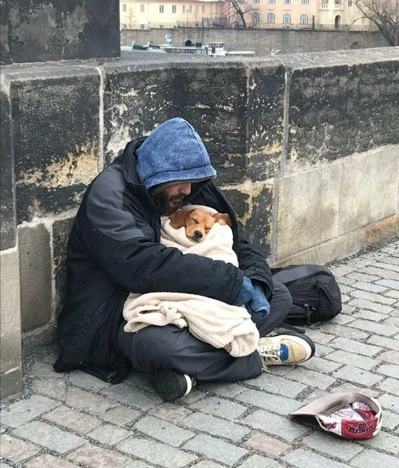 6. Küçük bir arkadaş hayatınızda her şeyi değiştirebilir.